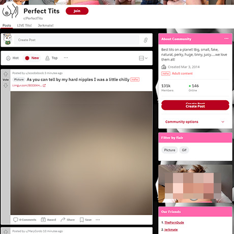 Perfect Tits – Reddit NSFW List and R/PerfectTits Review Perfect Tits – Reddit NSFW List and R/PerfectTits Review