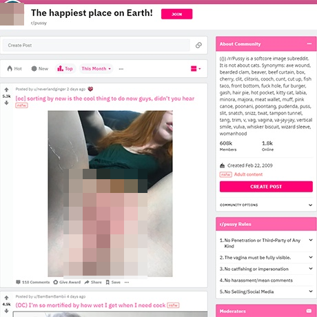 Pussy – Browse Amateur Pussy Pics and Videos on Reddit Pussy – Browse Amateur Pussy Pics and Videos on Reddit