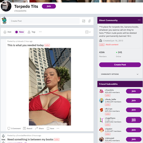 Torpedo Tits – NSFW Subreddit for Firm Boobs and Breast Lovers Torpedo Tits – NSFW Subreddit for Firm Boobs and Breast Lovers