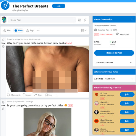 FortyFiveFiftyFive – A Reddit Haven for Beckoning Breasts FortyFiveFiftyFive – A Reddit Haven for Beckoning Breasts