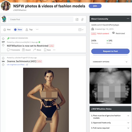 NSFW Fashion – Premium Adult Models on Reddit NSFW Fashion – Premium Adult Models on Reddit
