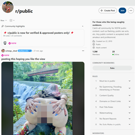 Reddit Public – Massive NSFW Subreddit for Public Sex and Flashing Reddit Public – Massive NSFW Subreddit for Public Sex and Flashing