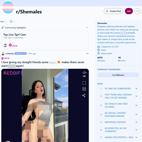Reddit Shemales – A Vibrant NSFW Community for T-Girl Lovers Reddit Shemales – A Vibrant NSFW Community for T-Girl Lovers