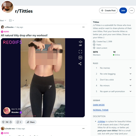 Reddit Titties – Celebrating All Breasts on Reddit's NSFW Subreddit Reddit Titties – Celebrating All Breasts on Reddit's NSFW Subreddit