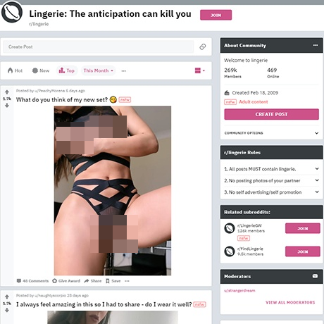 Reddit – A Popular Subreddit for Lingerie Enthusiasts and OC Reddit – A Popular Subreddit for Lingerie Enthusiasts and OC