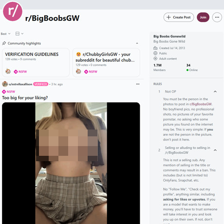 Reddit BigBoobsGW – Busty Amateur Subreddit Review Reddit BigBoobsGW – Busty Amateur Subreddit Review