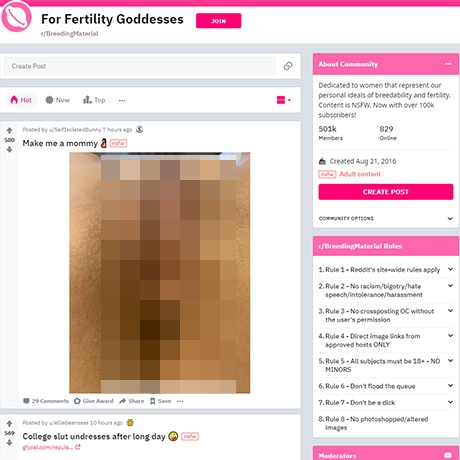 Breeding Material – Explore the Hottest NSFW Subreddit for Amateur Models Breeding Material – Explore the Hottest NSFW Subreddit for Amateur Models