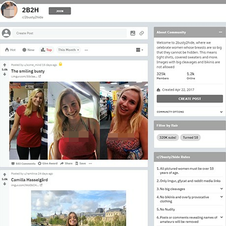 2Busty2Hide – SFW Big Boobs Community on Reddit 2Busty2Hide – SFW Big Boobs Community on Reddit