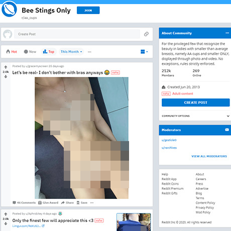 AA Cups – Discover the R/AA_Cups Subreddit for Small Breasts AA Cups – Discover the R/AA_Cups Subreddit for Small Breasts